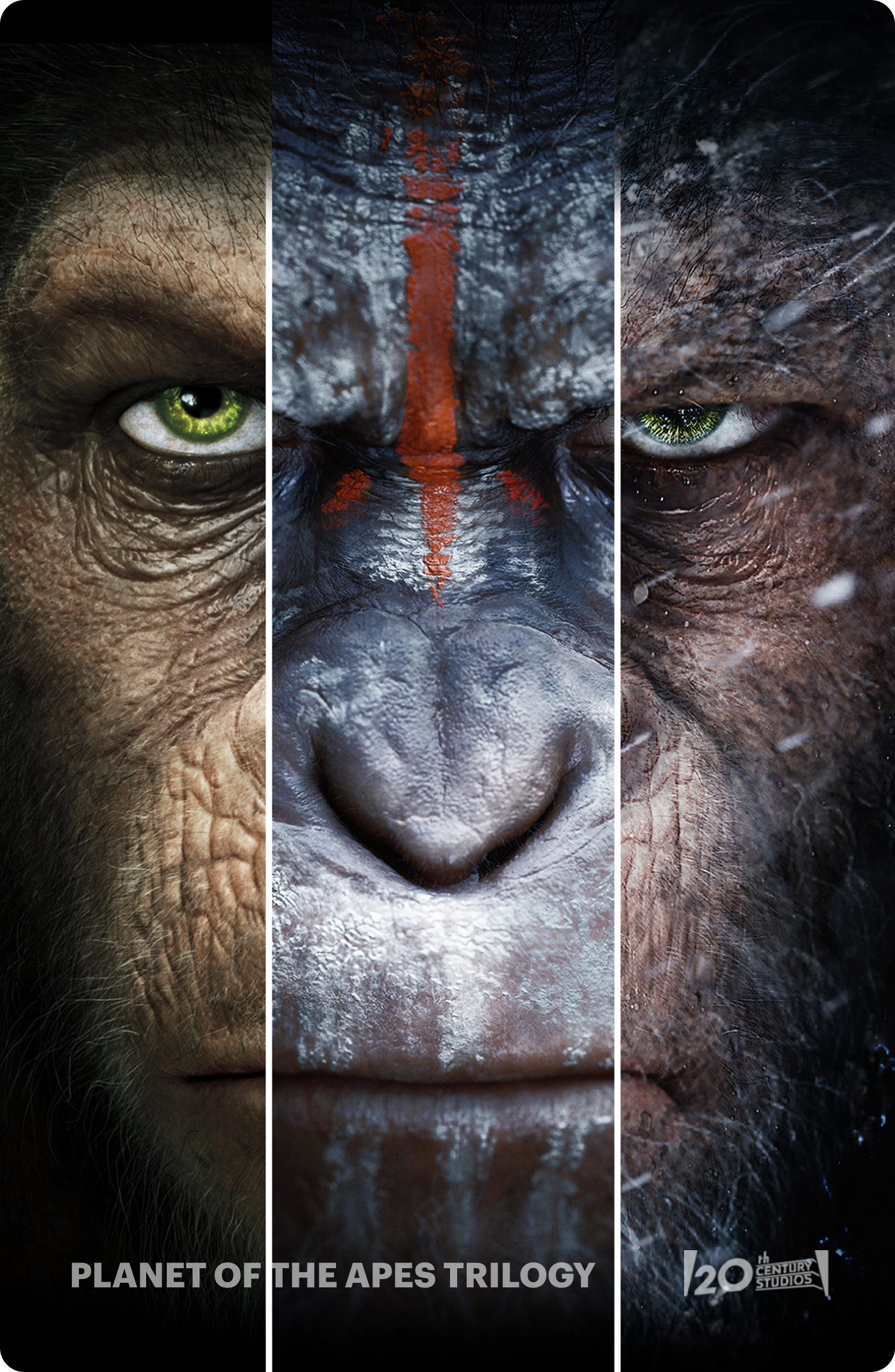 Planet of the Apes - Library Poster